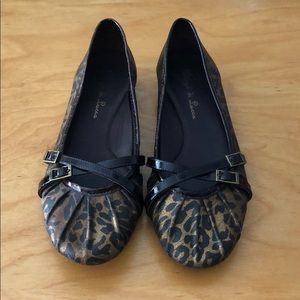 Cheetah Flats